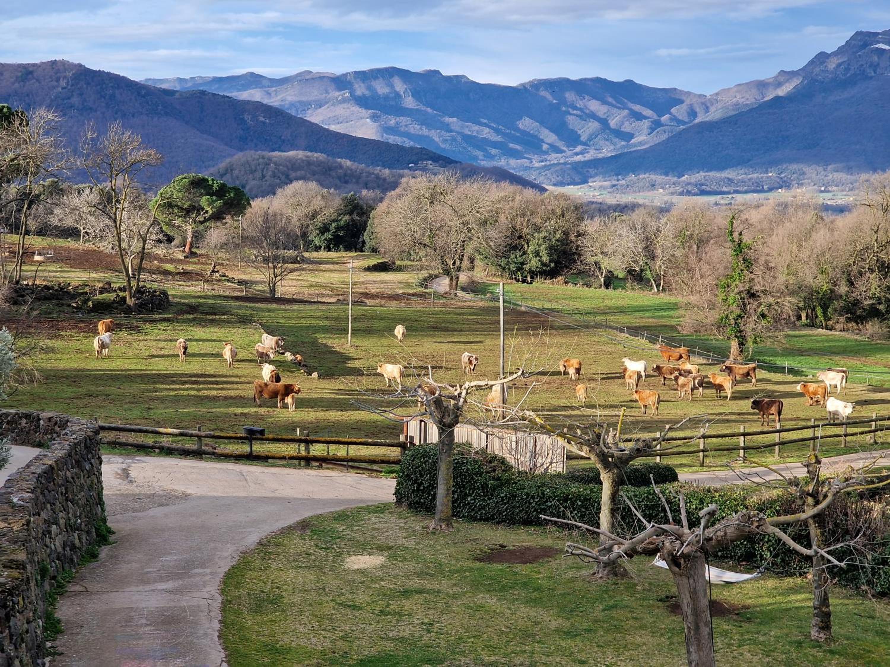 La Cabanya del Mas Casamitjana