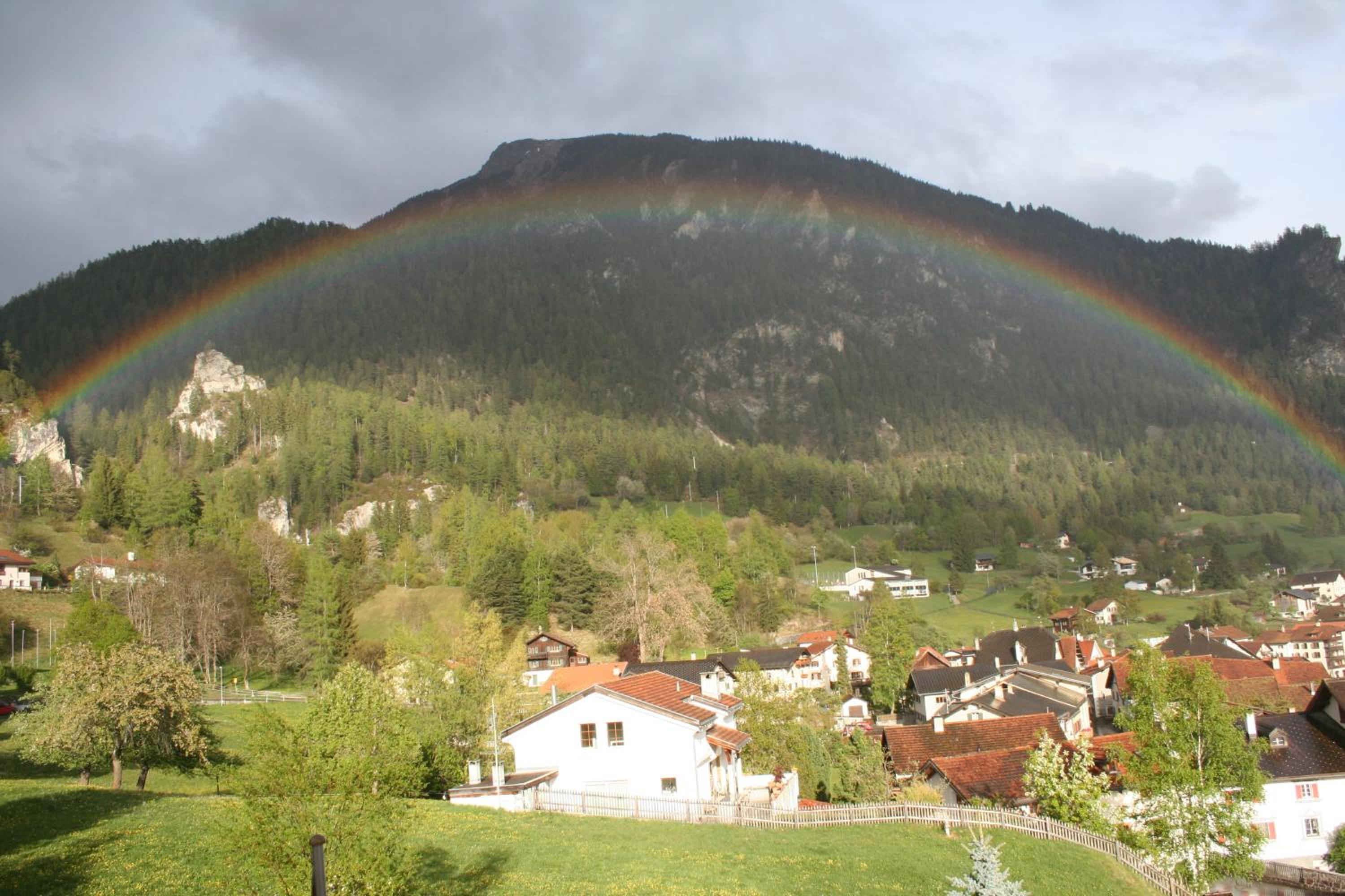 Photo 24