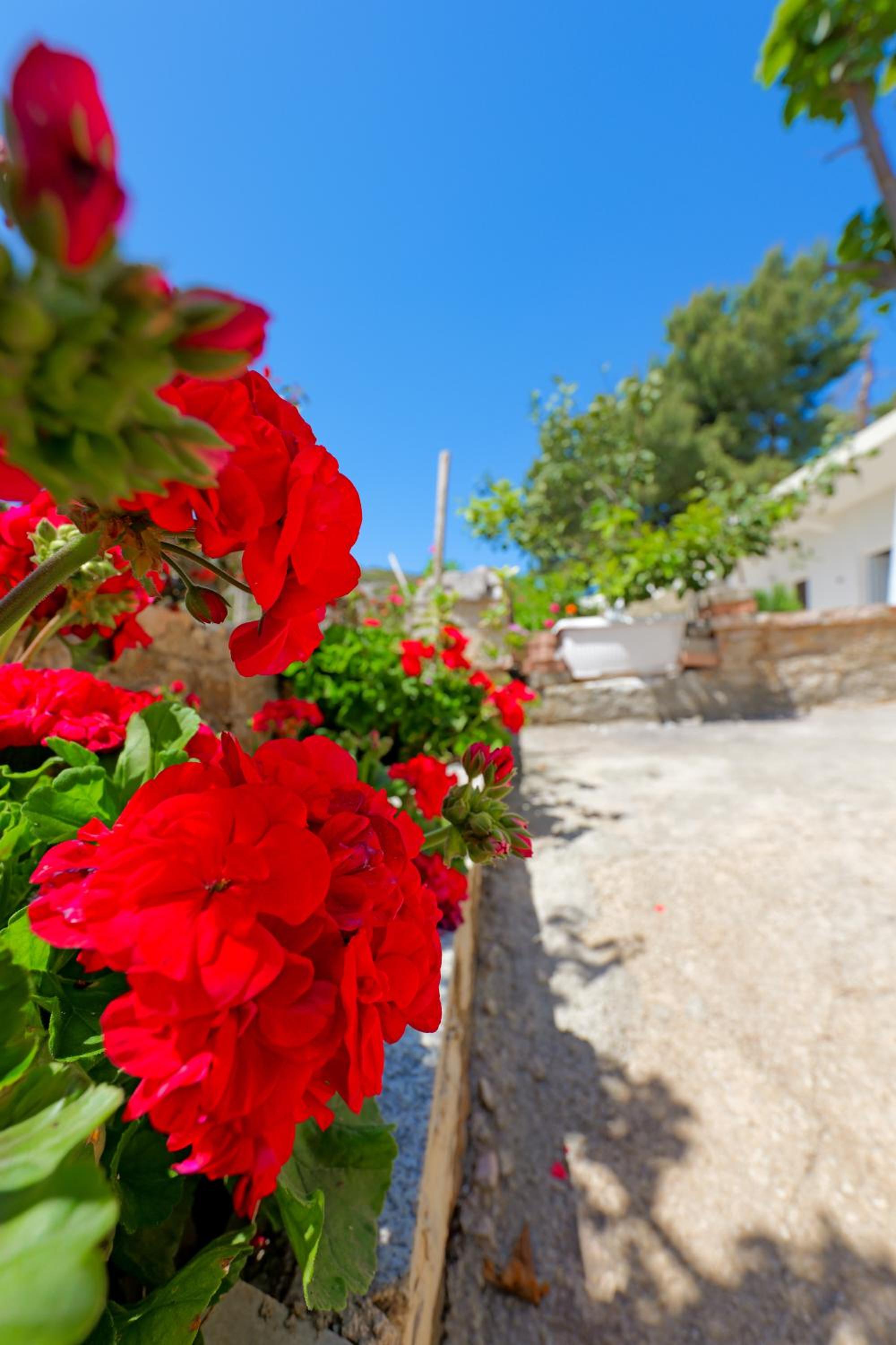Flower Vila