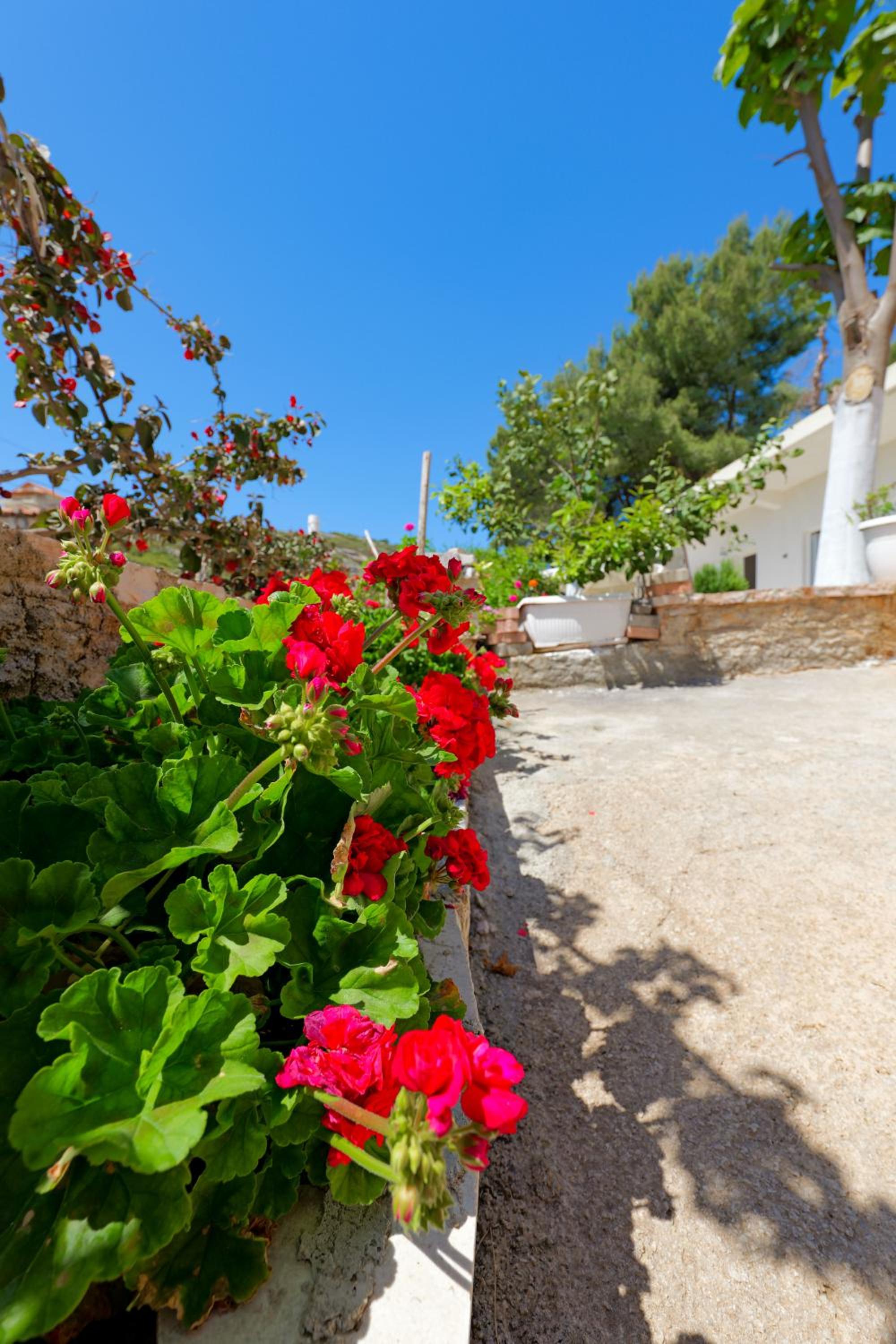 Flower Vila