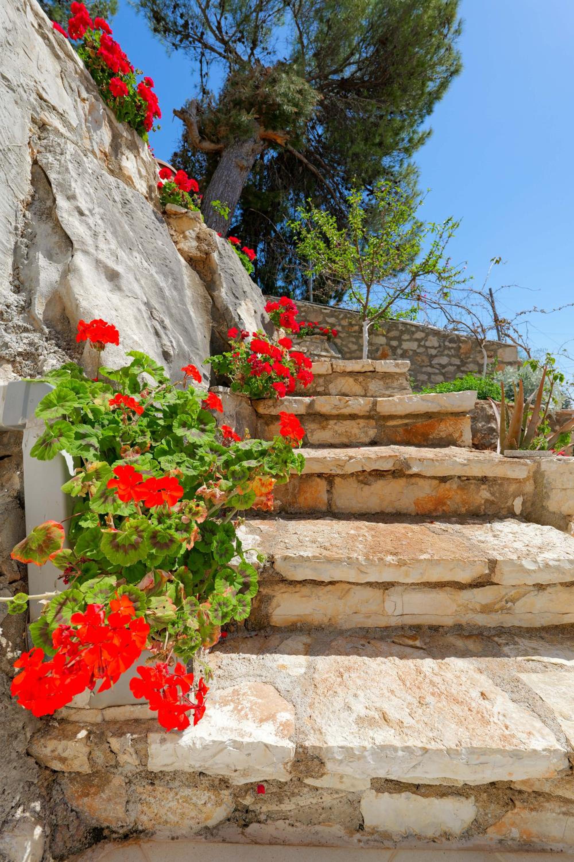 Flower Vila