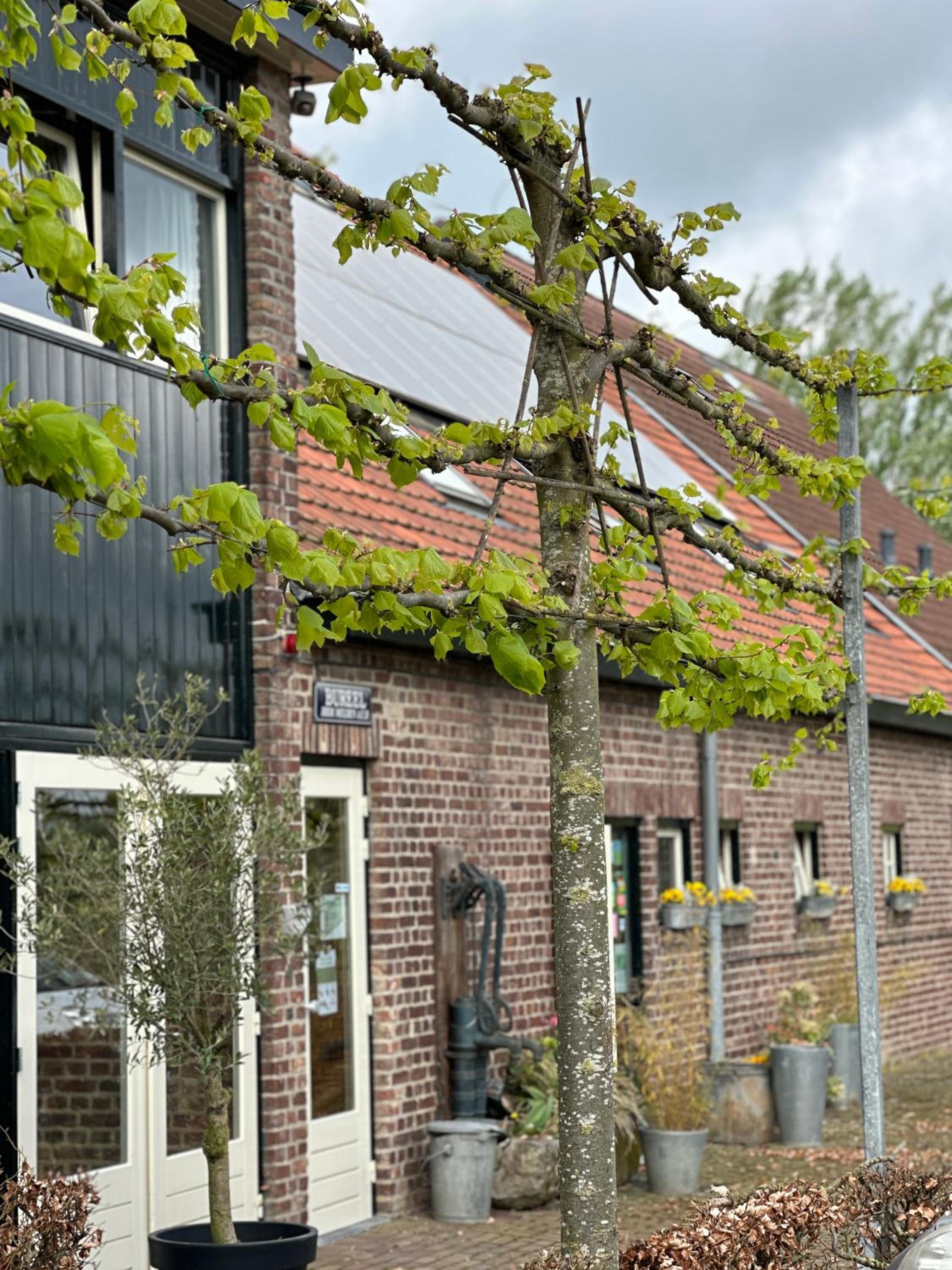 Landhuis Bovenste Bos