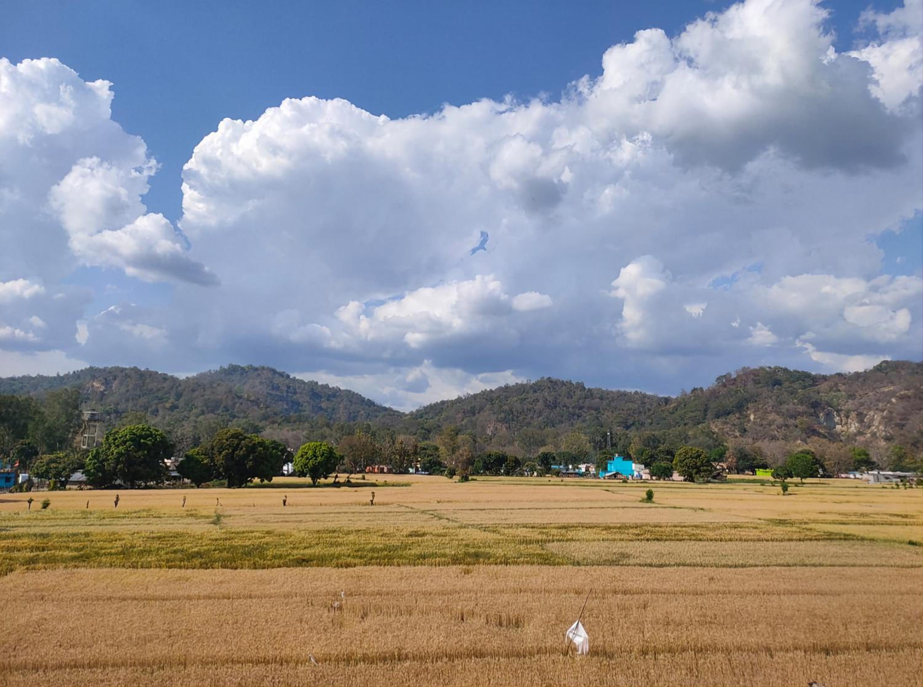 Jim Corbett Home stay view 2