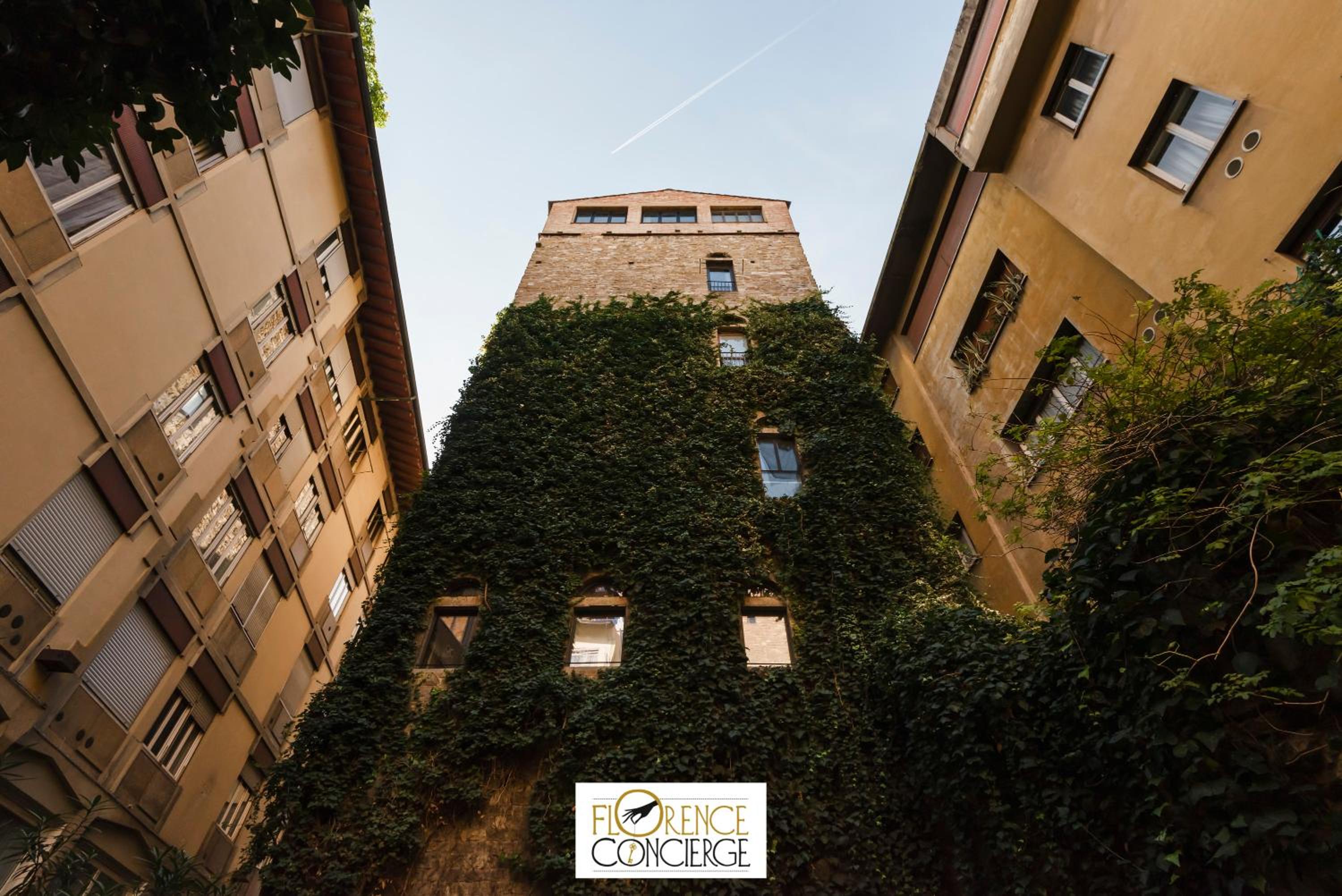 2 Towers Belfredelli&Ramaglianti- Panoramic view