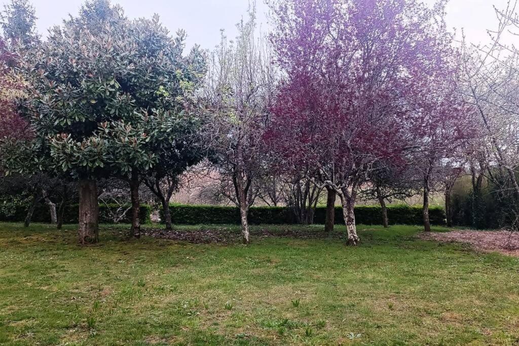 Casa a piorneira