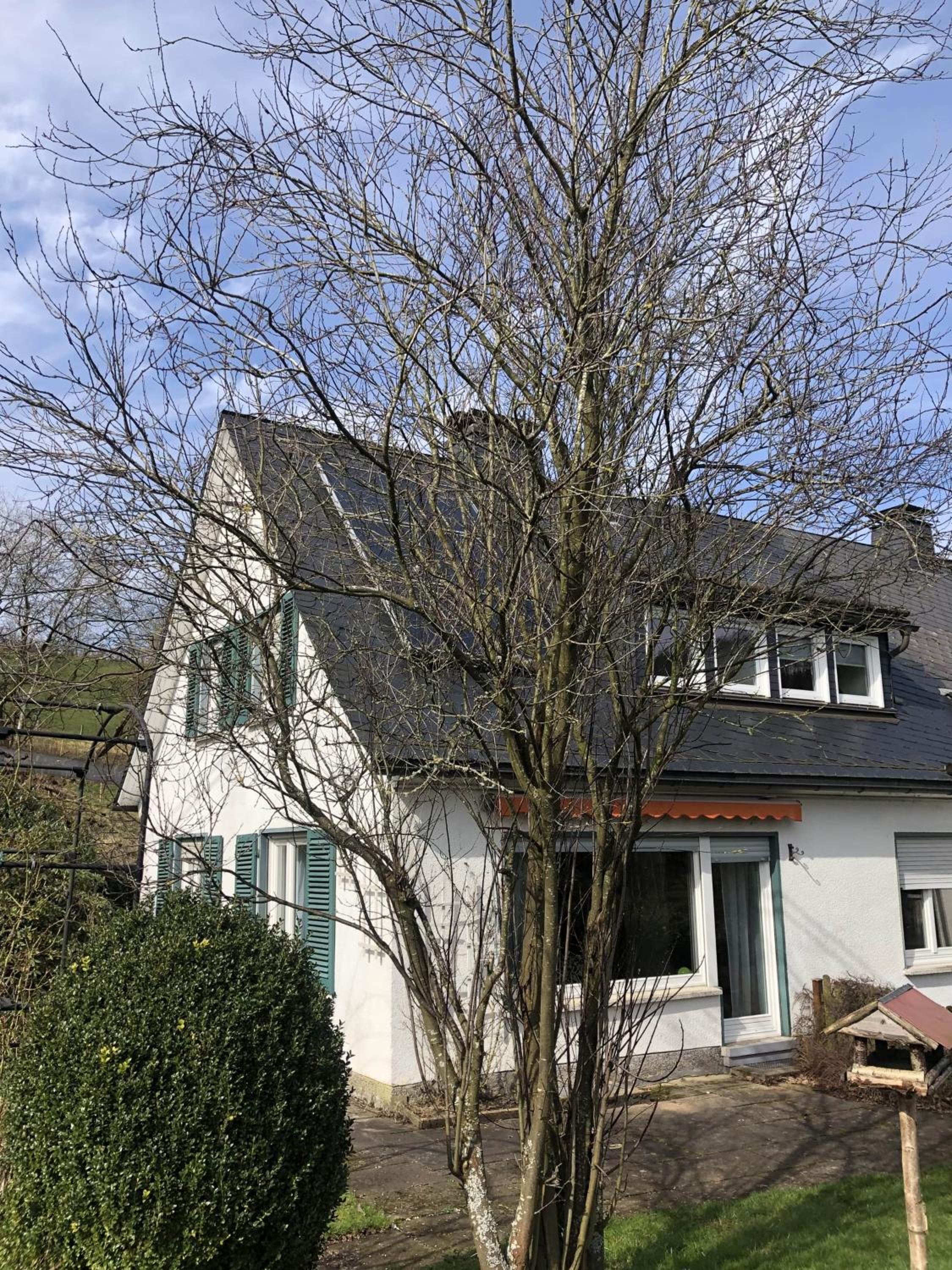 Fichtenhaus am Wisentpfad