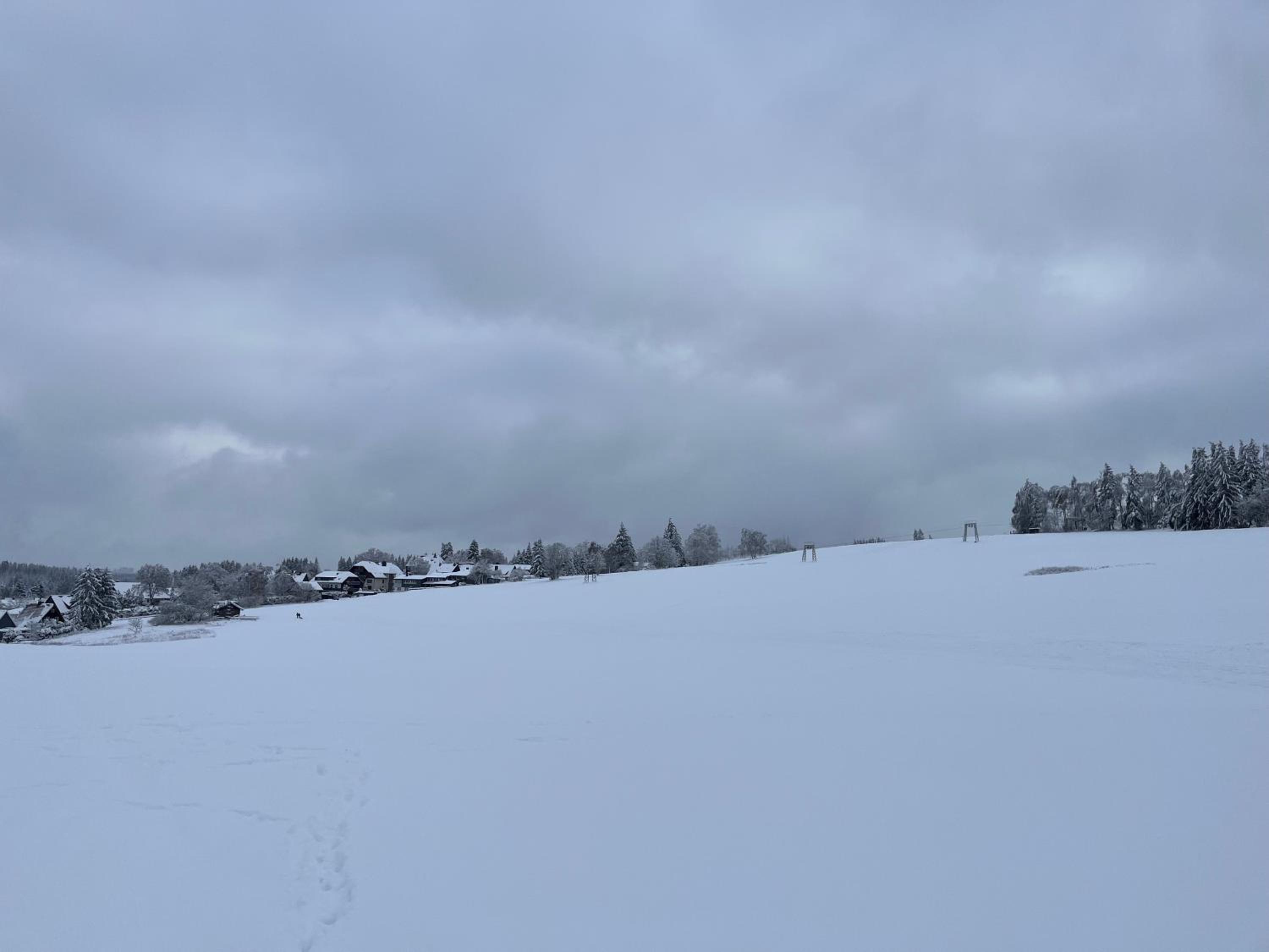 Marienkäfer