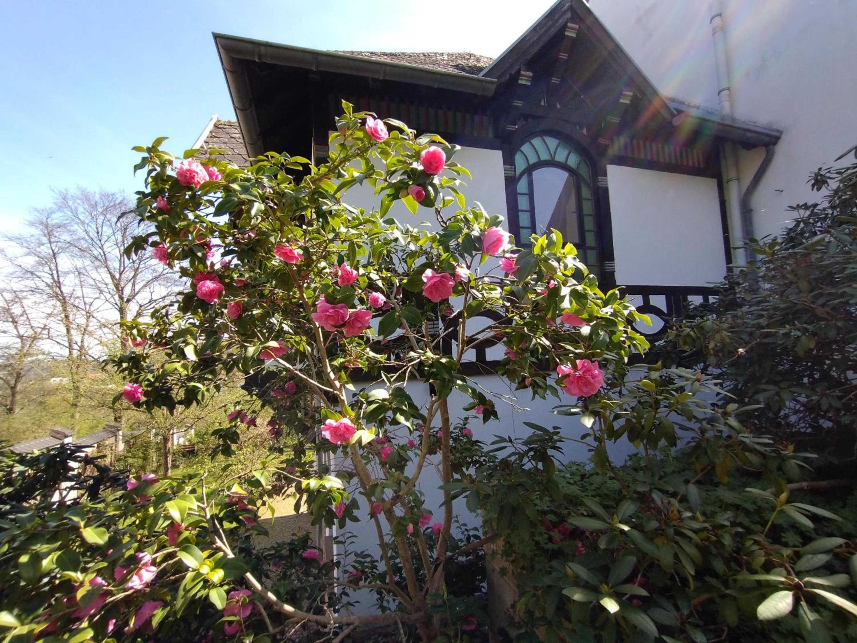 Historisches Haus am Triller
