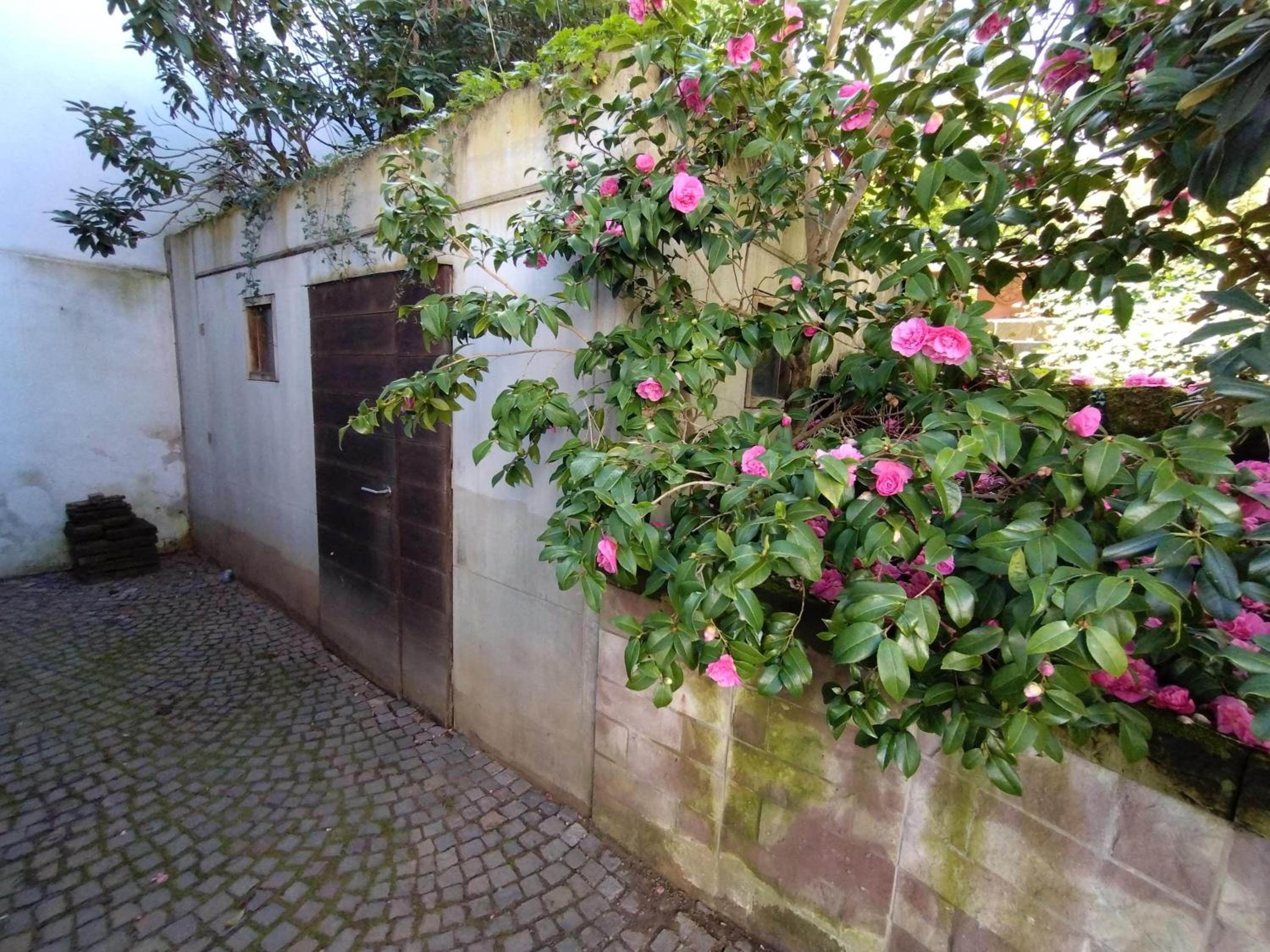 Historisches Haus am Triller