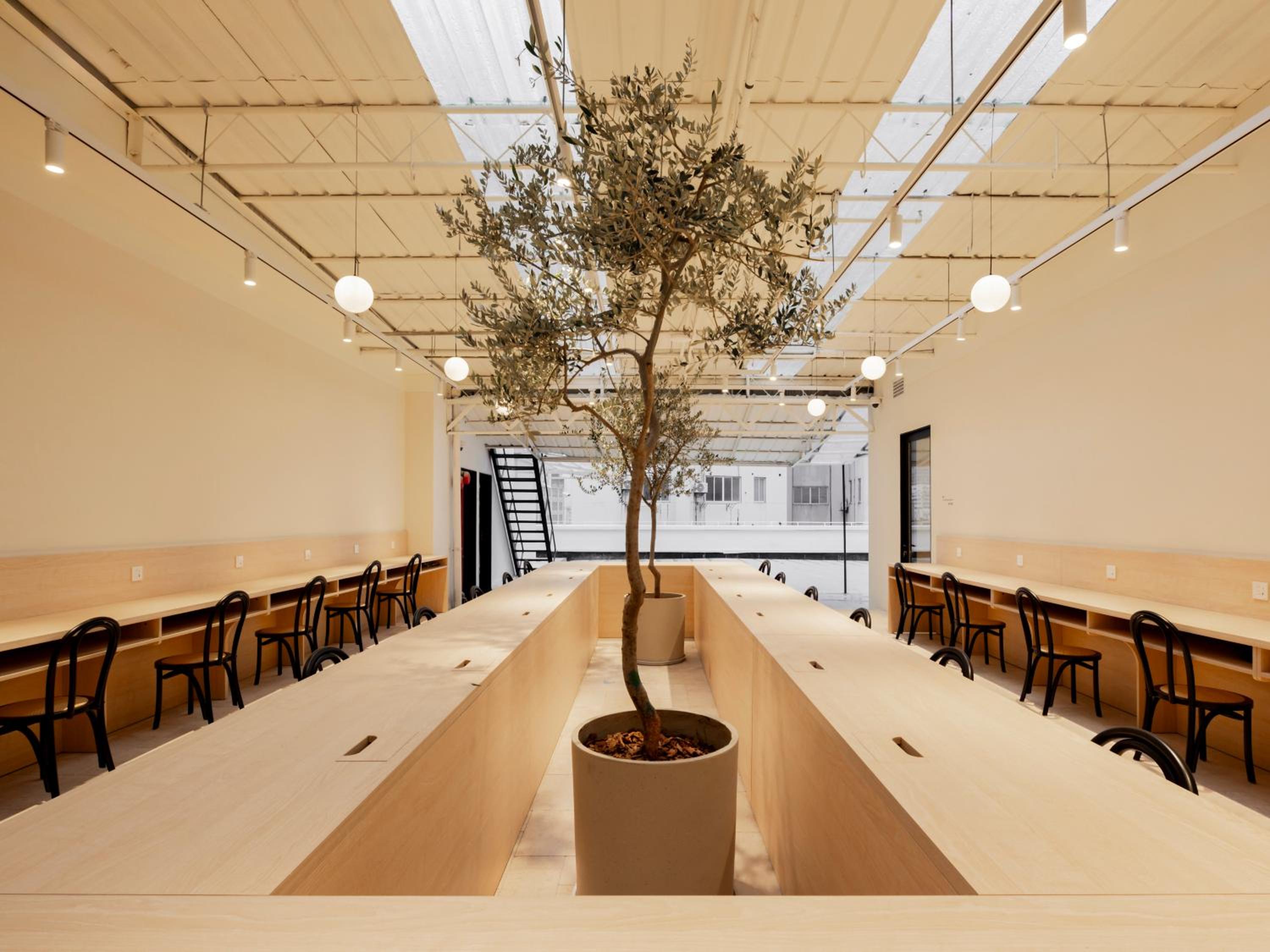 Hotel Hi Cozy International Youth Hostel East Nanjing Road & The Bund - Free Coffee and Gym - Image 1