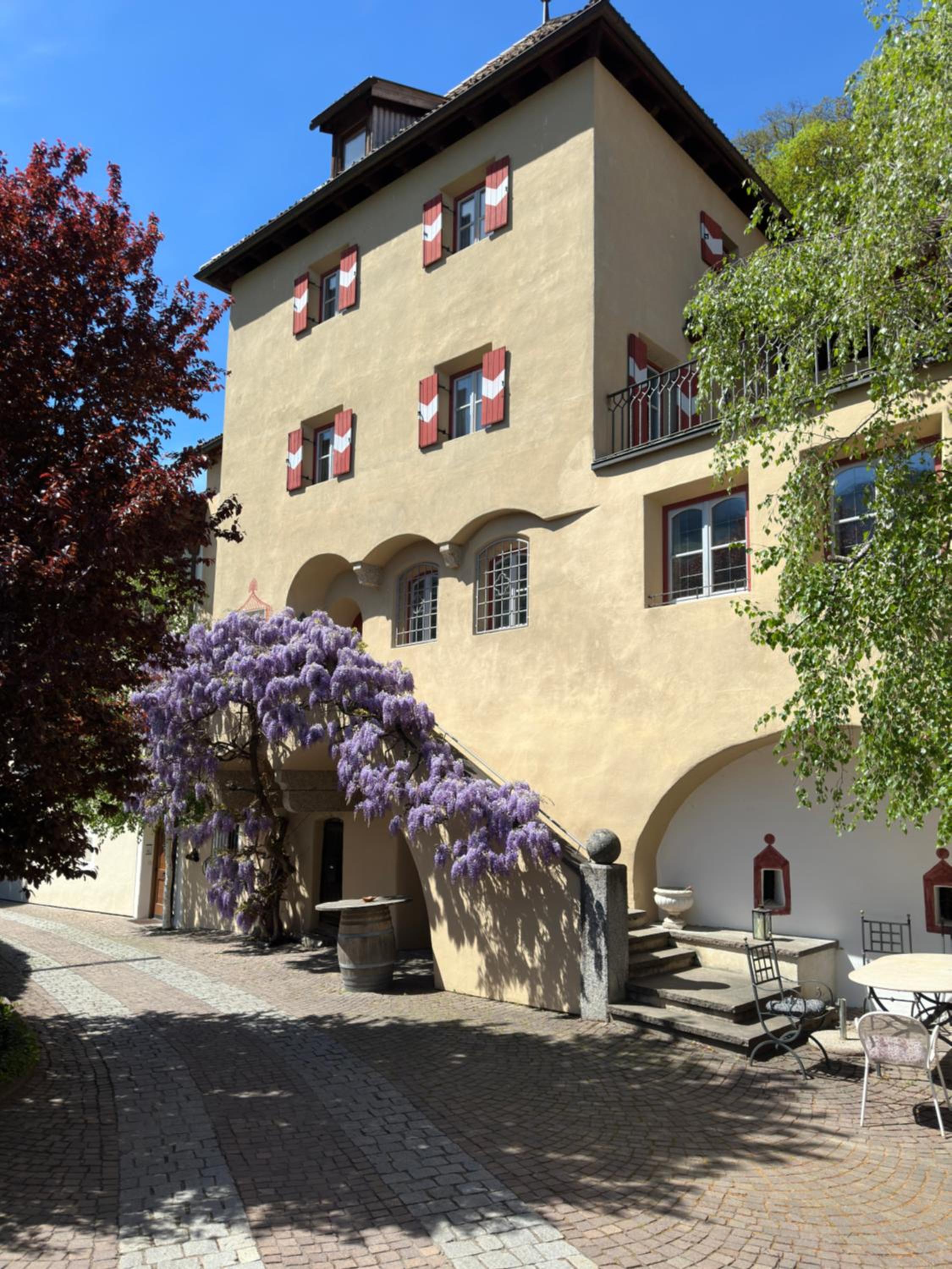 Weingut Köfelgut - Turris Vini view 2