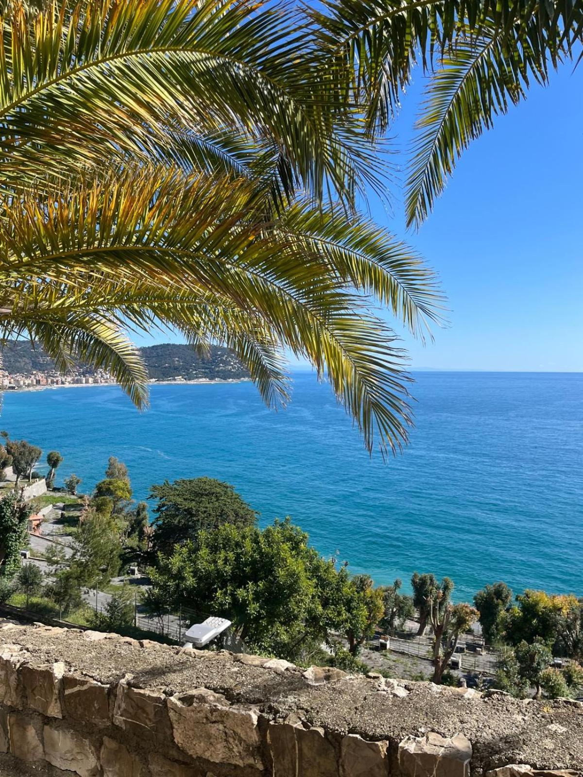 Bellissima Cervo view 4