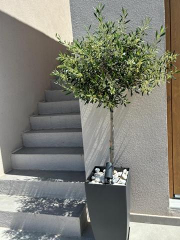 Photo 40