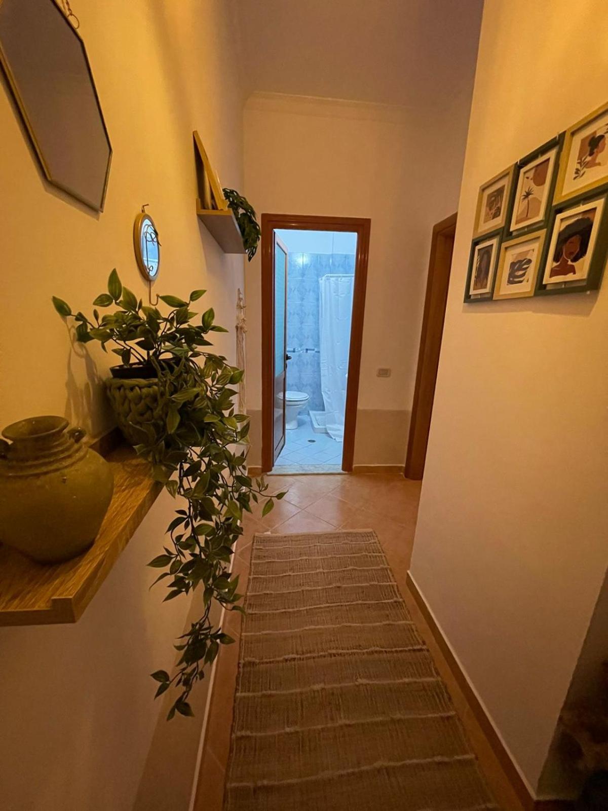 Valona boho apartment