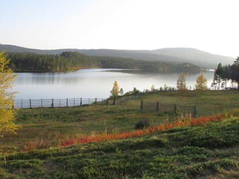 Lemmenjoen Lumo - Nature Experience & Accommodation