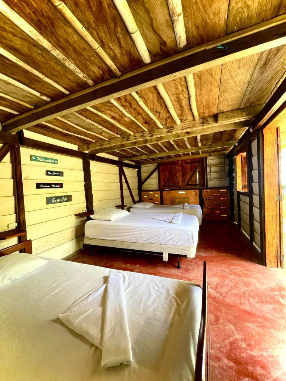 Casa Alma