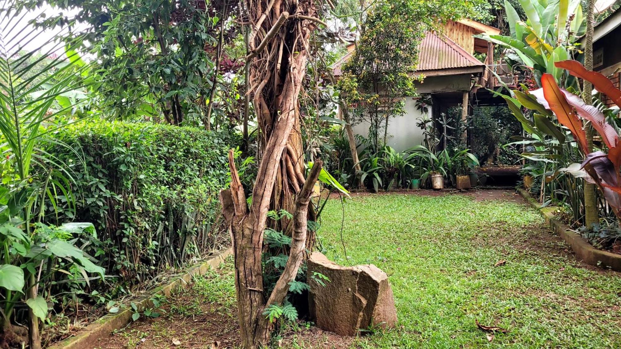Ugatrac tours and travel view 3