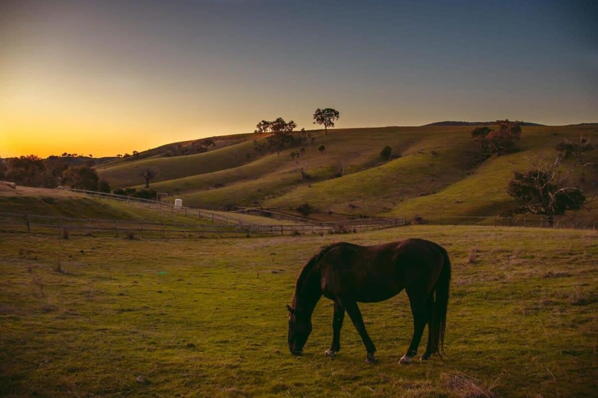 Saddle Country Escape by Tiny Away