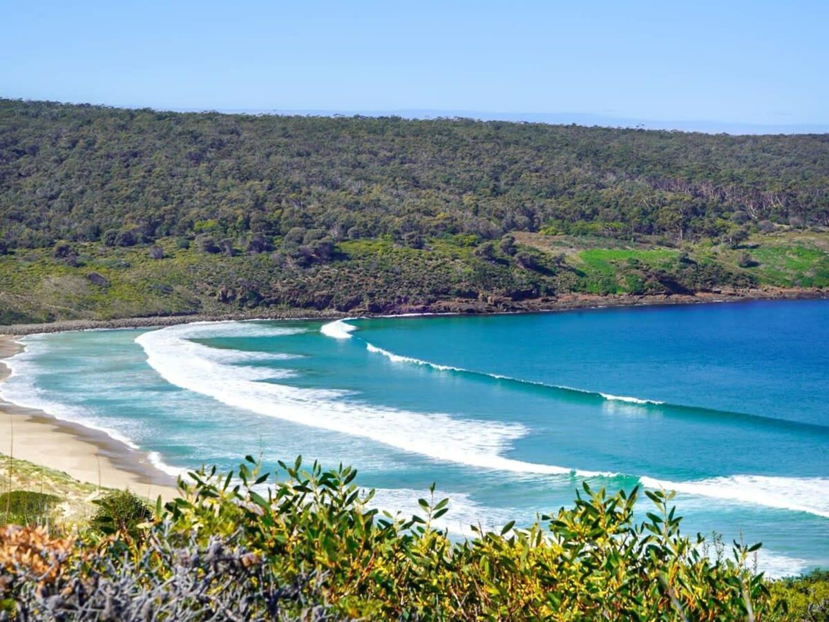 Banyula Cove by Tiny Away
