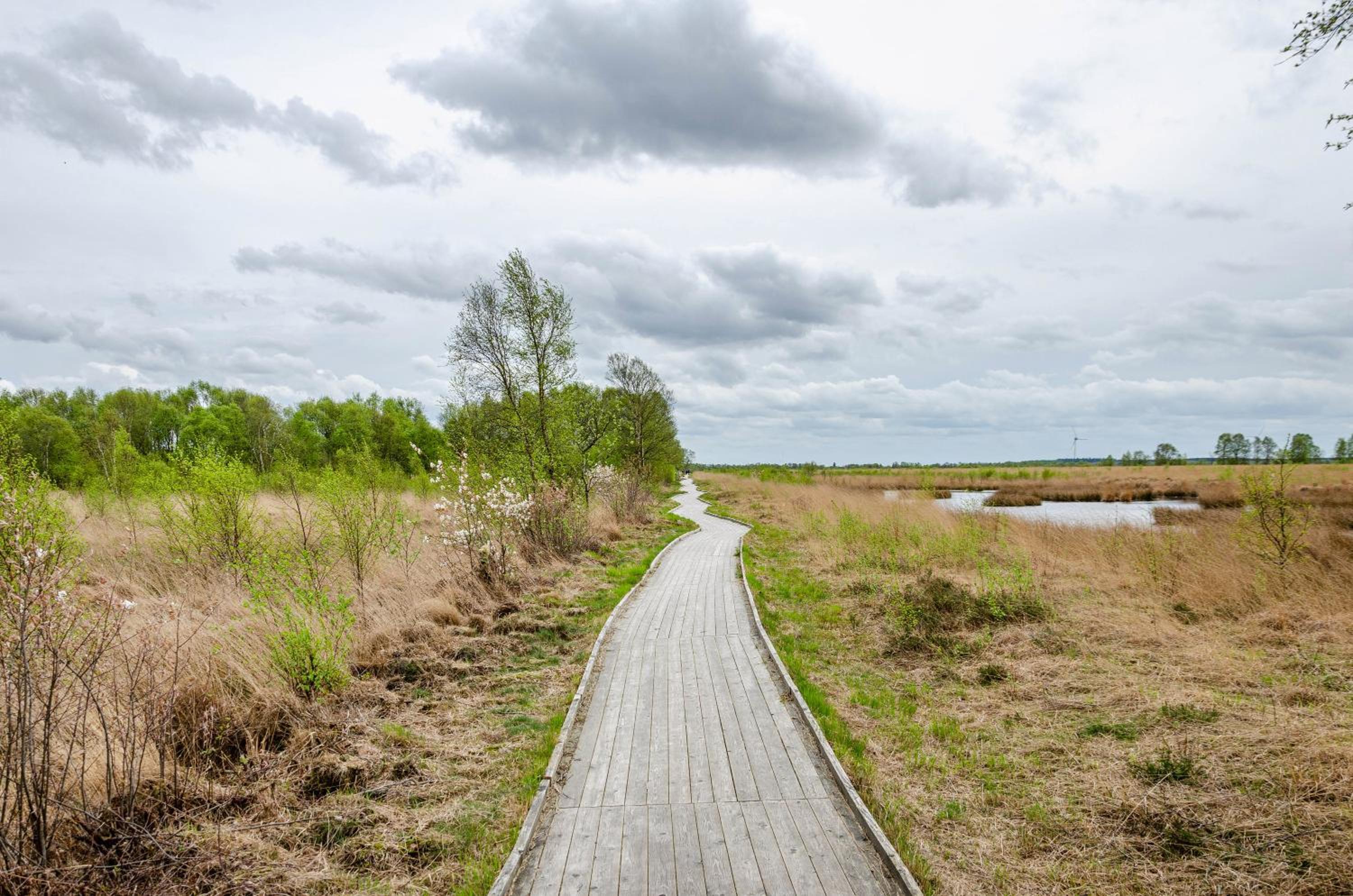 Krummes Häusschen an der Nordsee