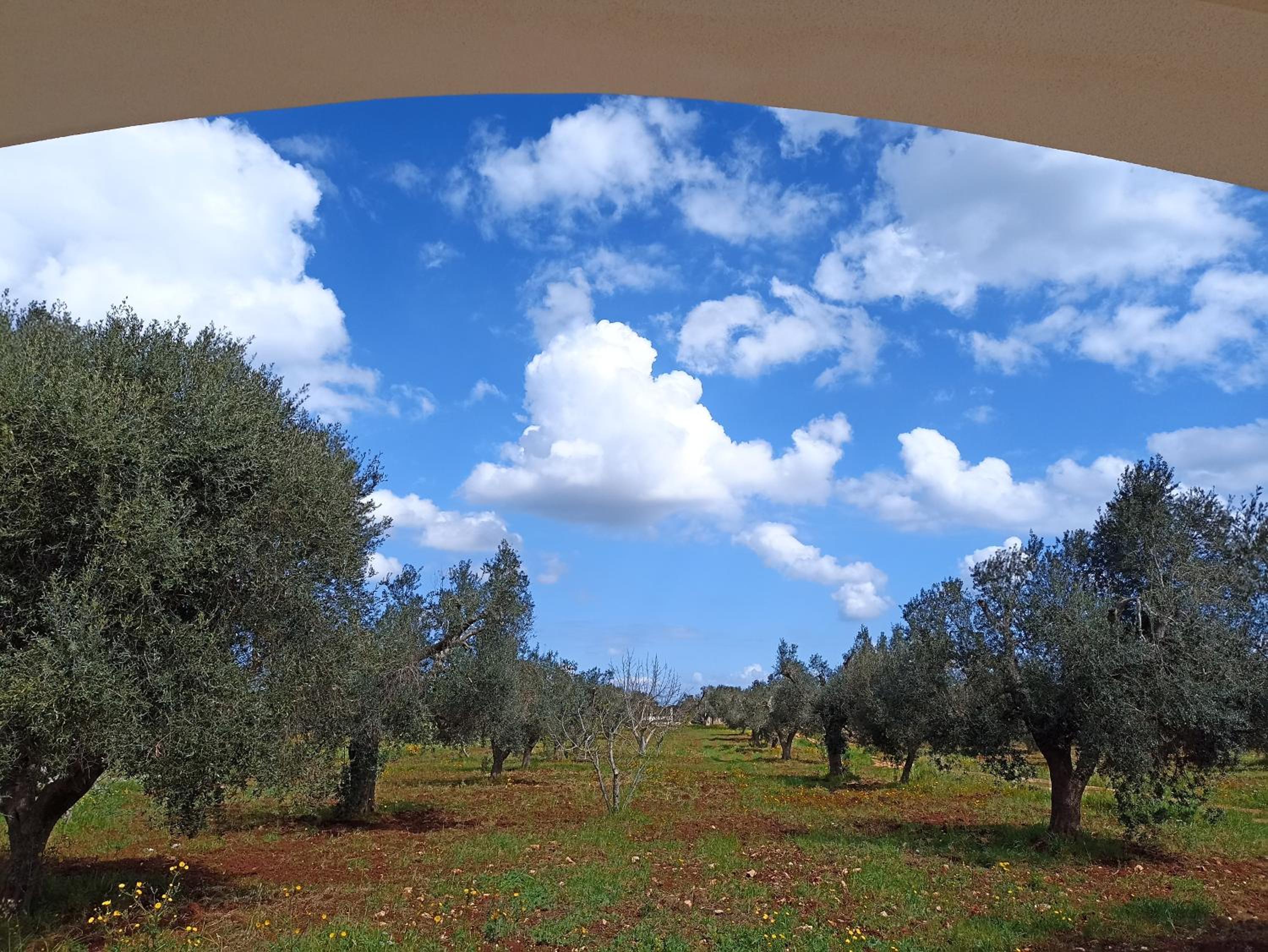 Masseria Cortese