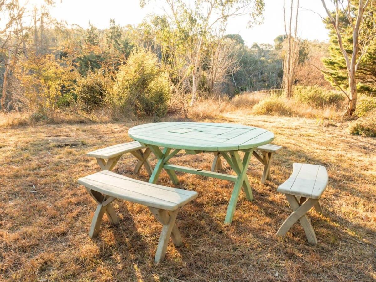 Blue Gum at Aranya Acres by Tiny Away