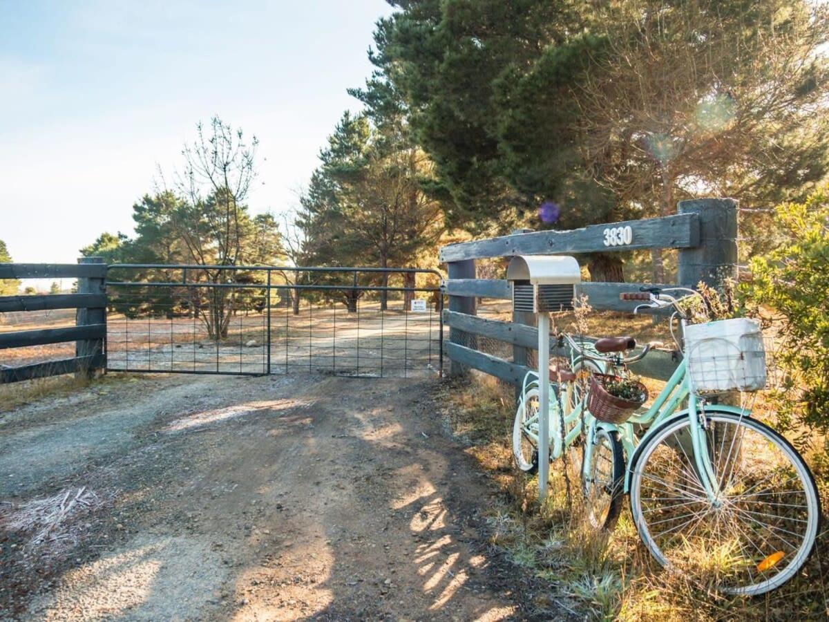 Blue Gum at Aranya Acres by Tiny Away