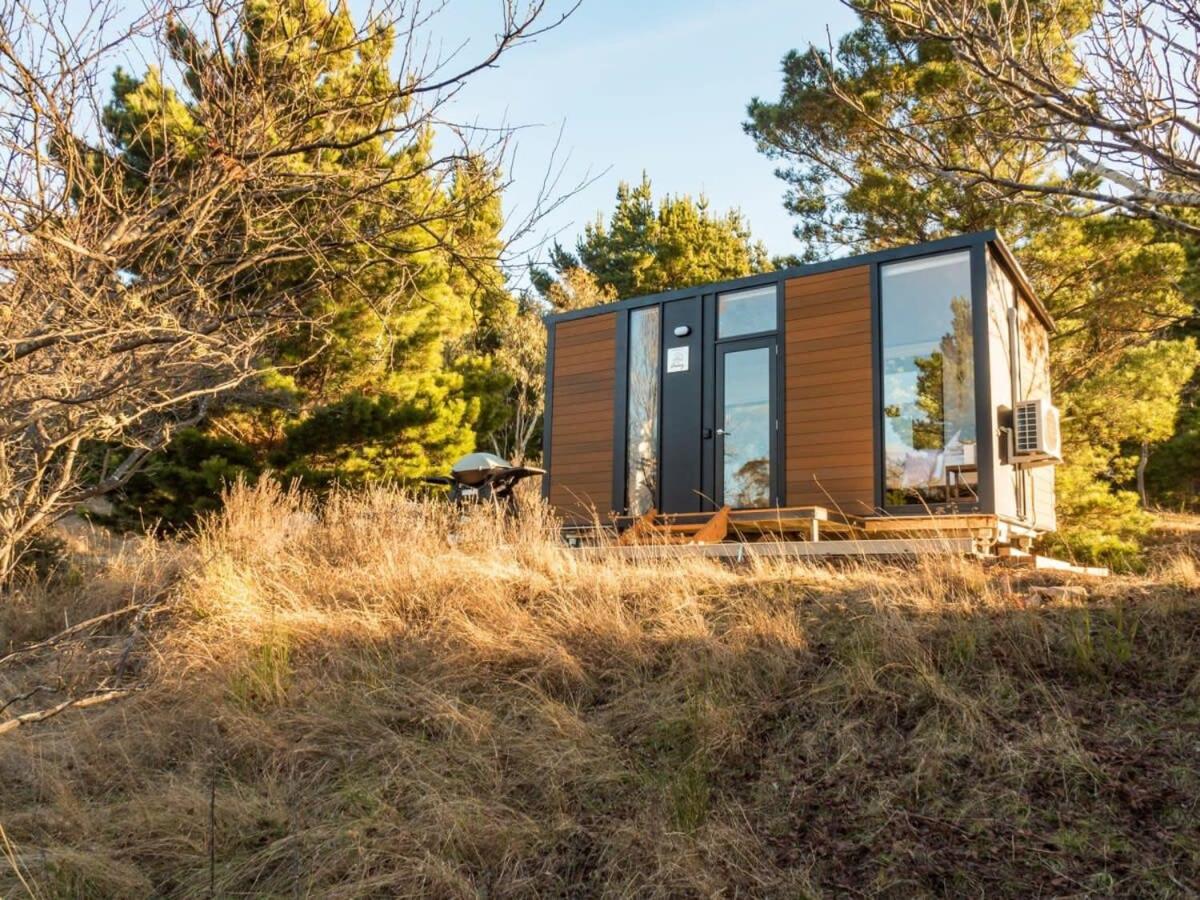 Blue Gum at Aranya Acres by Tiny Away