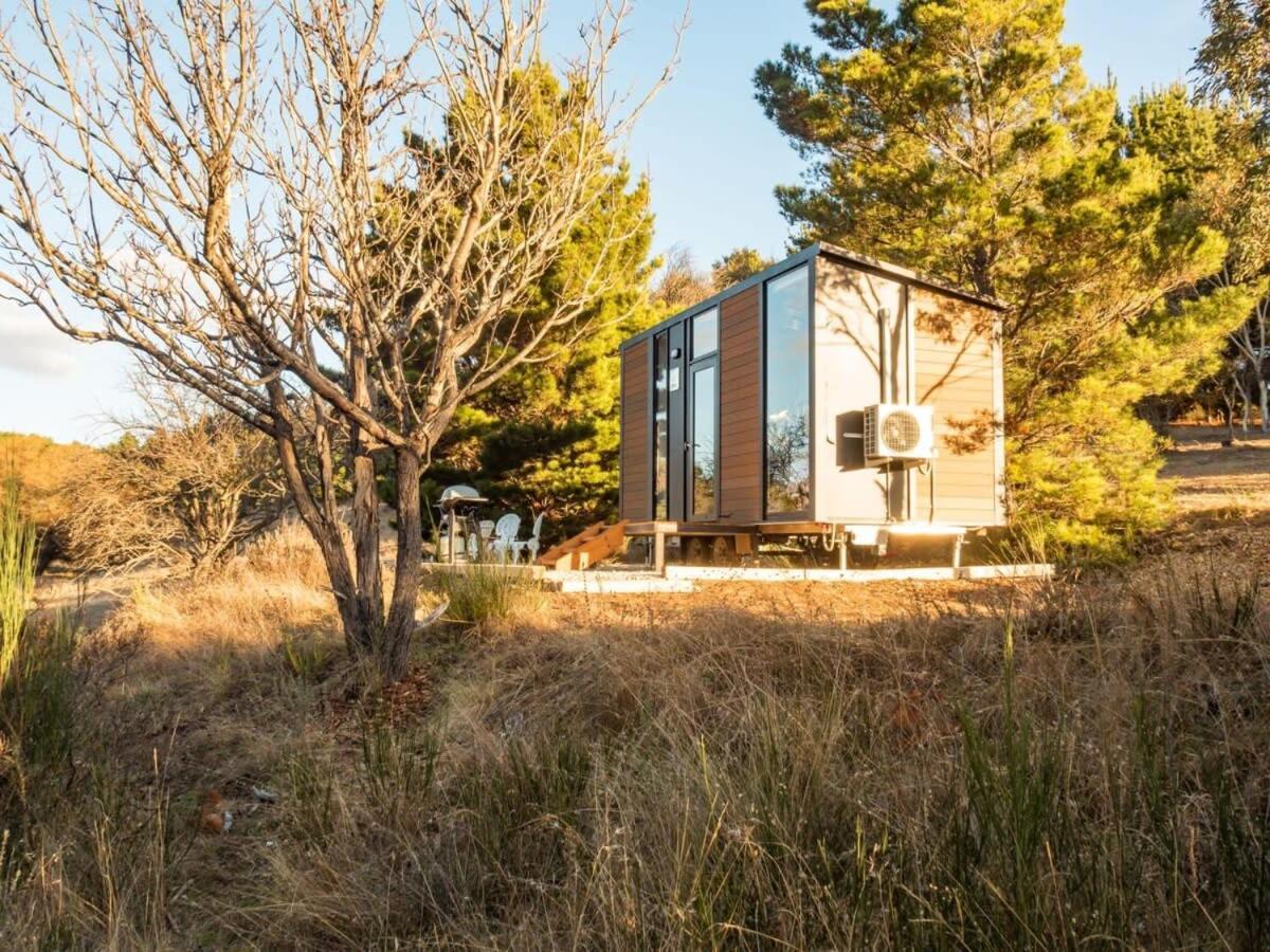 Blue Gum at Aranya Acres by Tiny Away