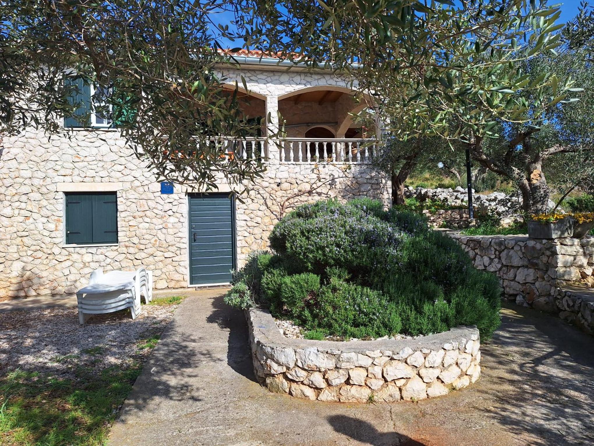 Robinson house Cvita