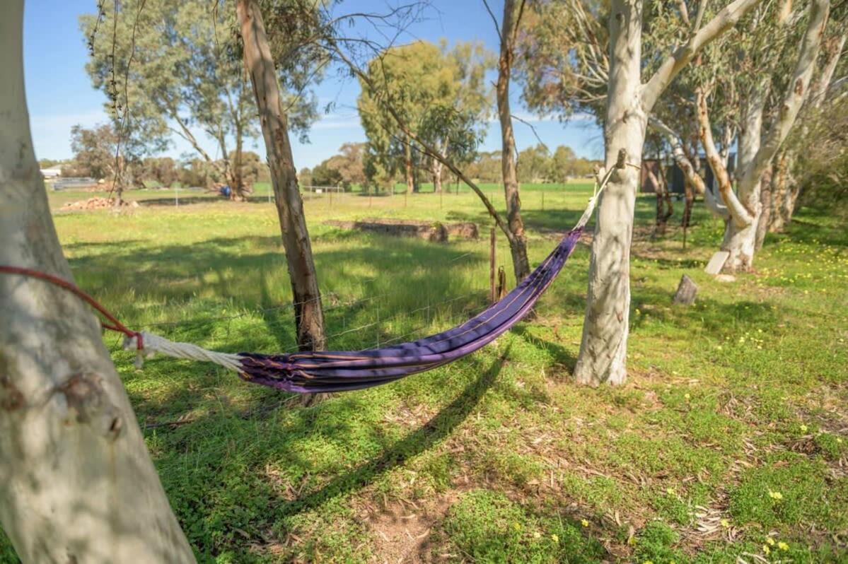Avon River Homestead by Tiny Away