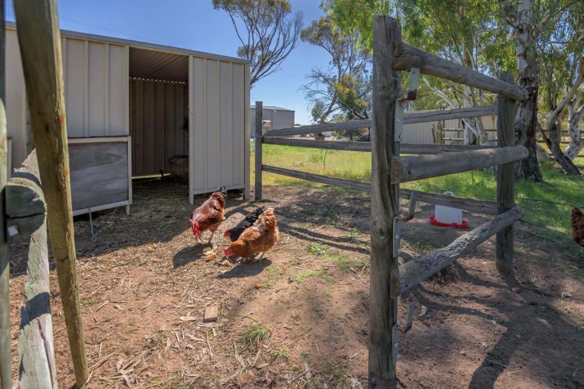 Avon River Homestead by Tiny Away