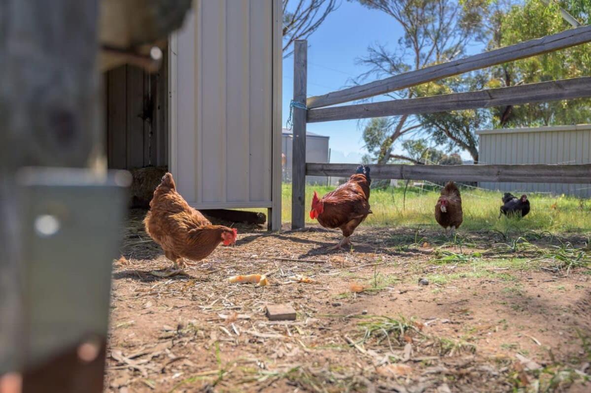 Avon River Homestead by Tiny Away
