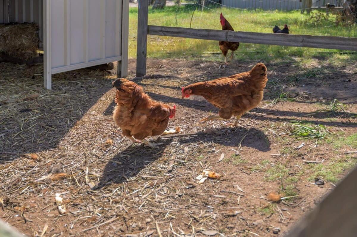 Avon River Homestead by Tiny Away