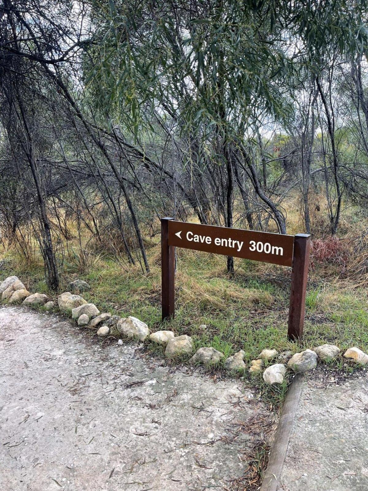 Hill River Nature Reserve by Tiny Away
