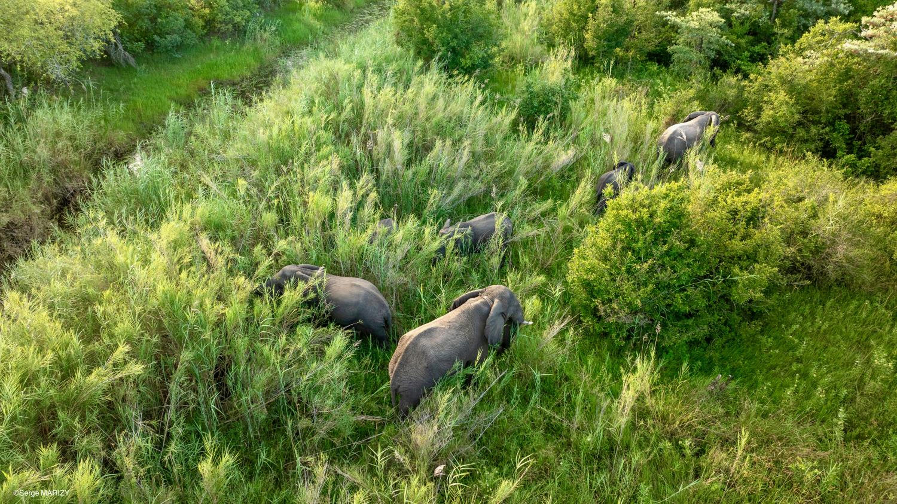 Unyati Safari Lodge