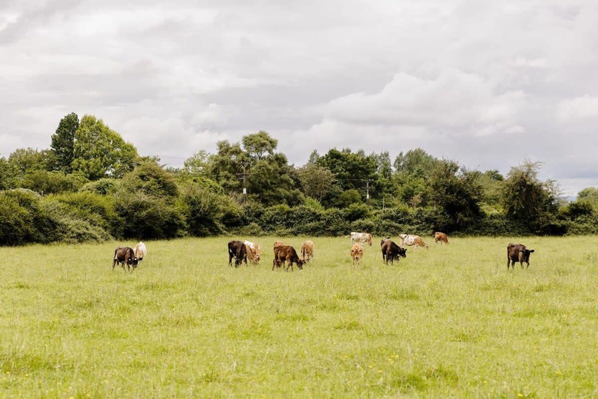 Rural Delight by Tiny Away