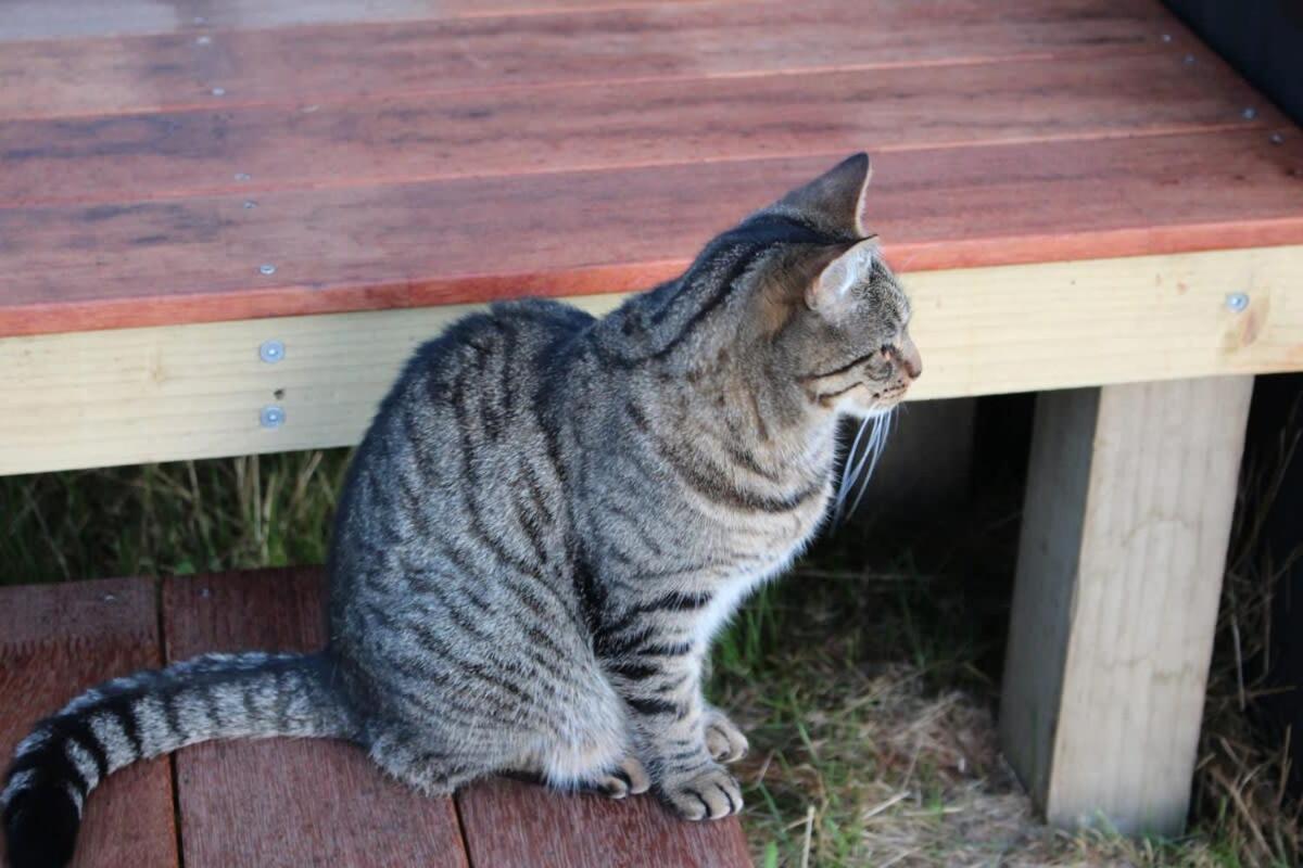 Photo 22