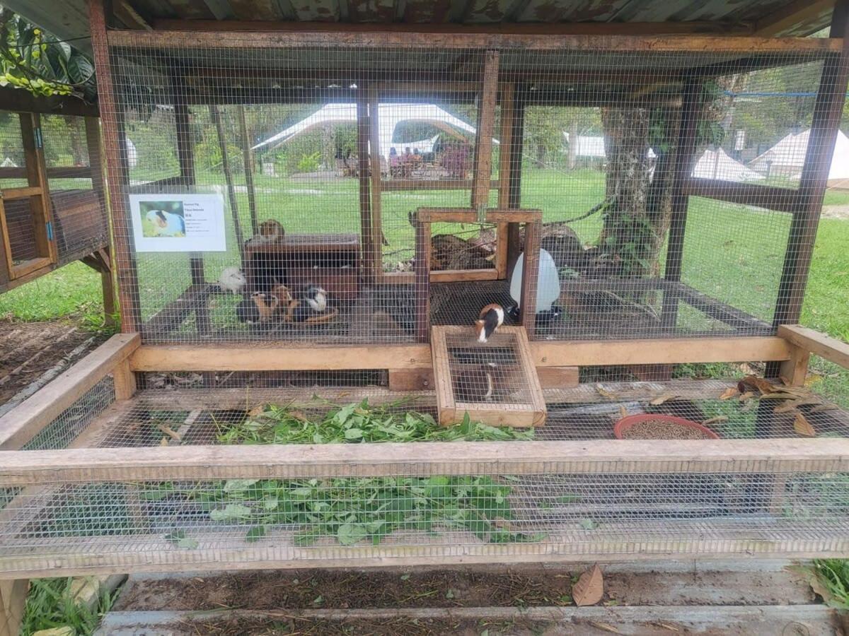 Sungai Tiny House by Tiny Away photo 2