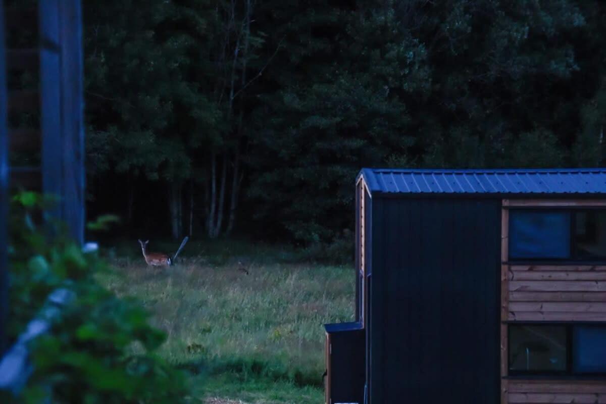 Bostebacken Gard Tiny House by Tiny Away view 3