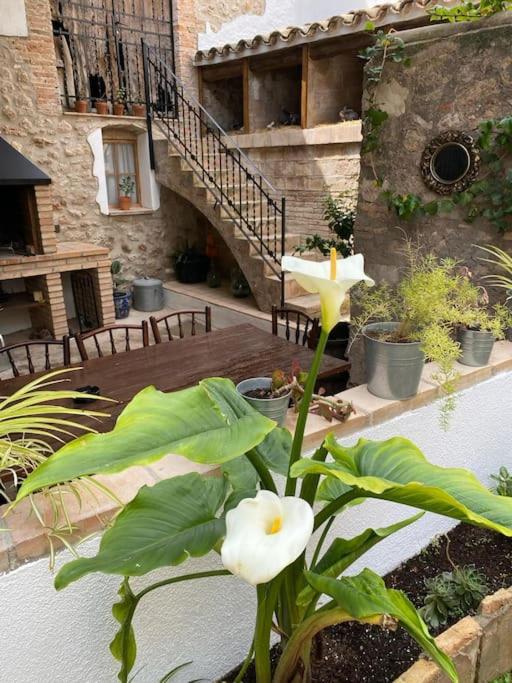Ca la Trini - turisme rural - main view