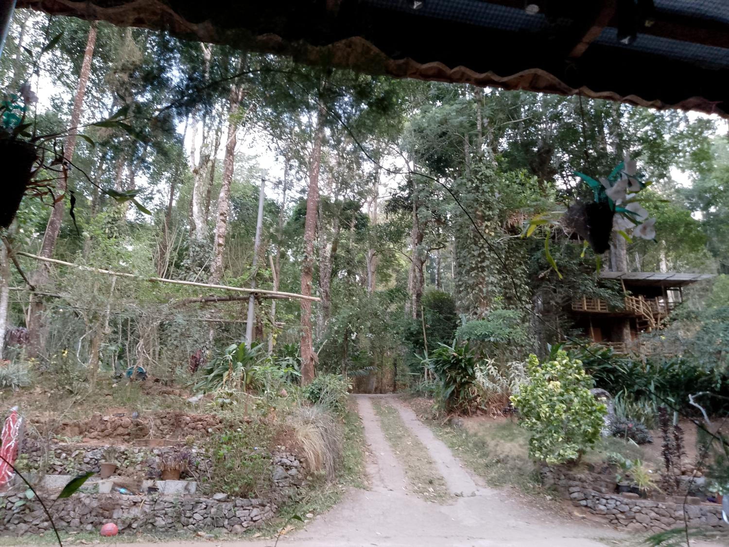 Mittathanickal Farm House and Tree House Munnar view 3