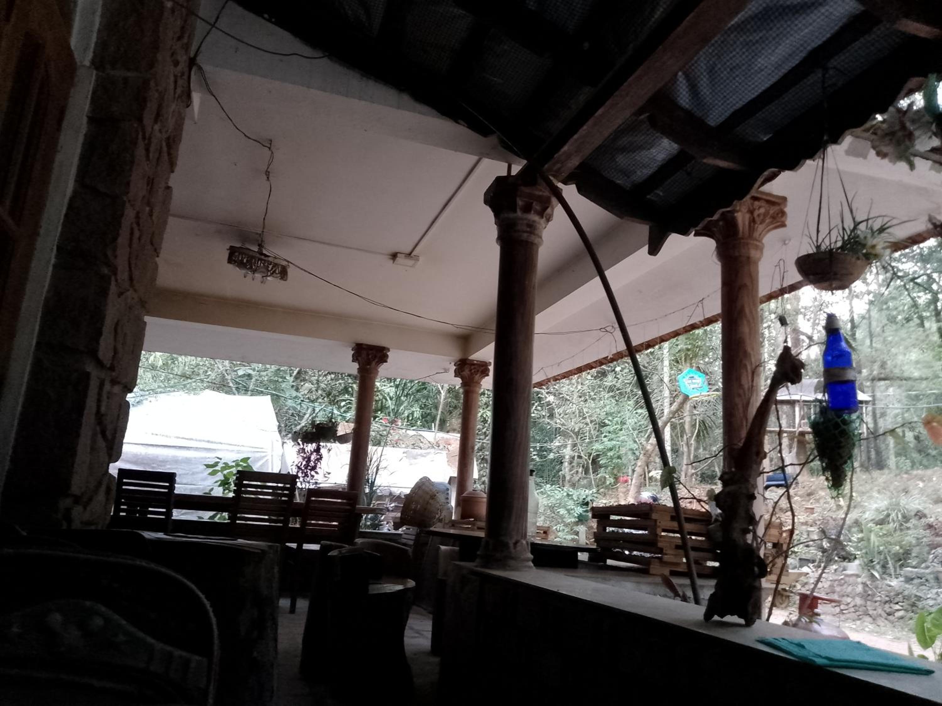 Mittathanickal Farm House and Tree House Munnar view 4
