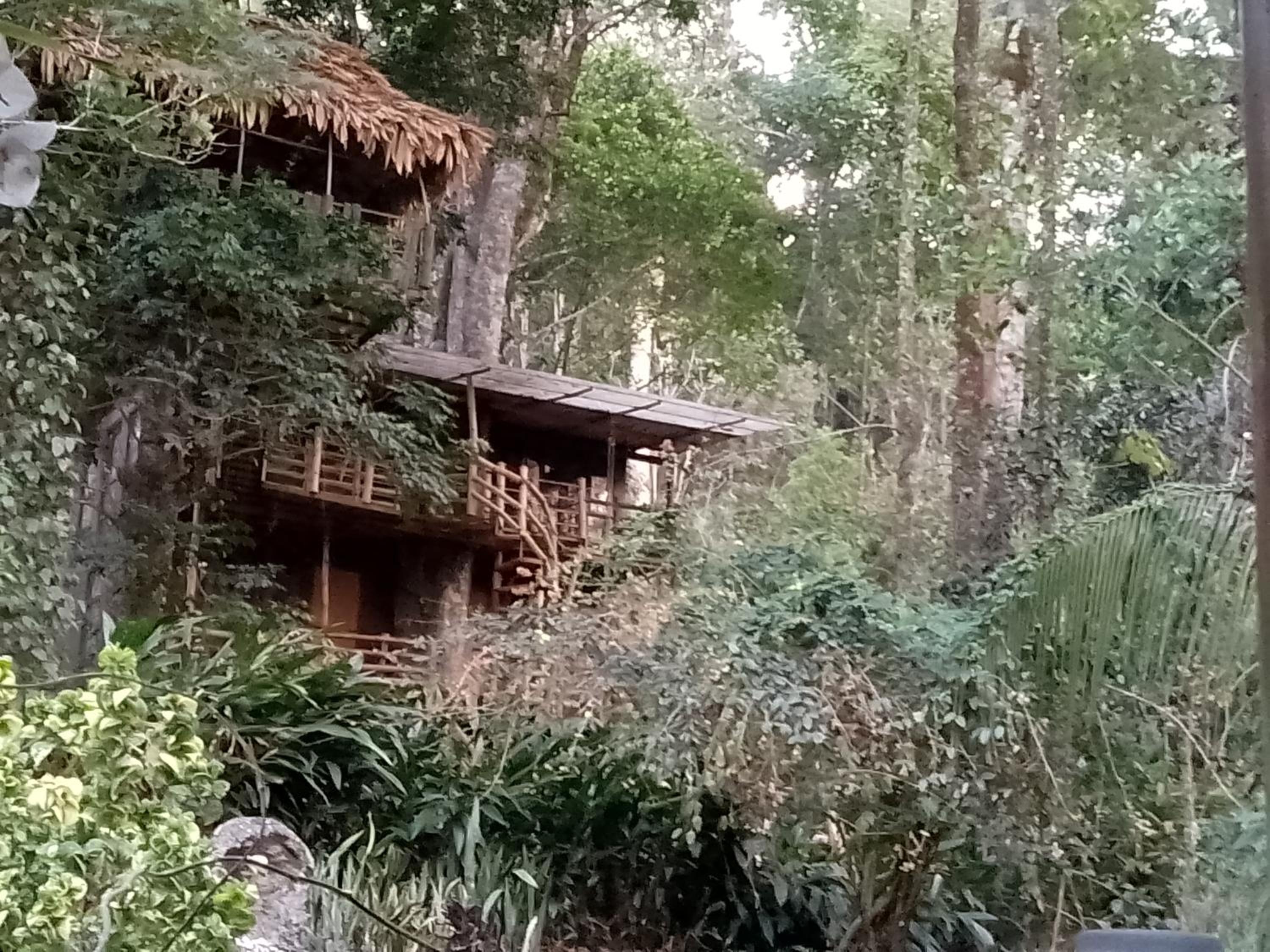Mittathanickal Farm House and Tree House Munnar view 2
