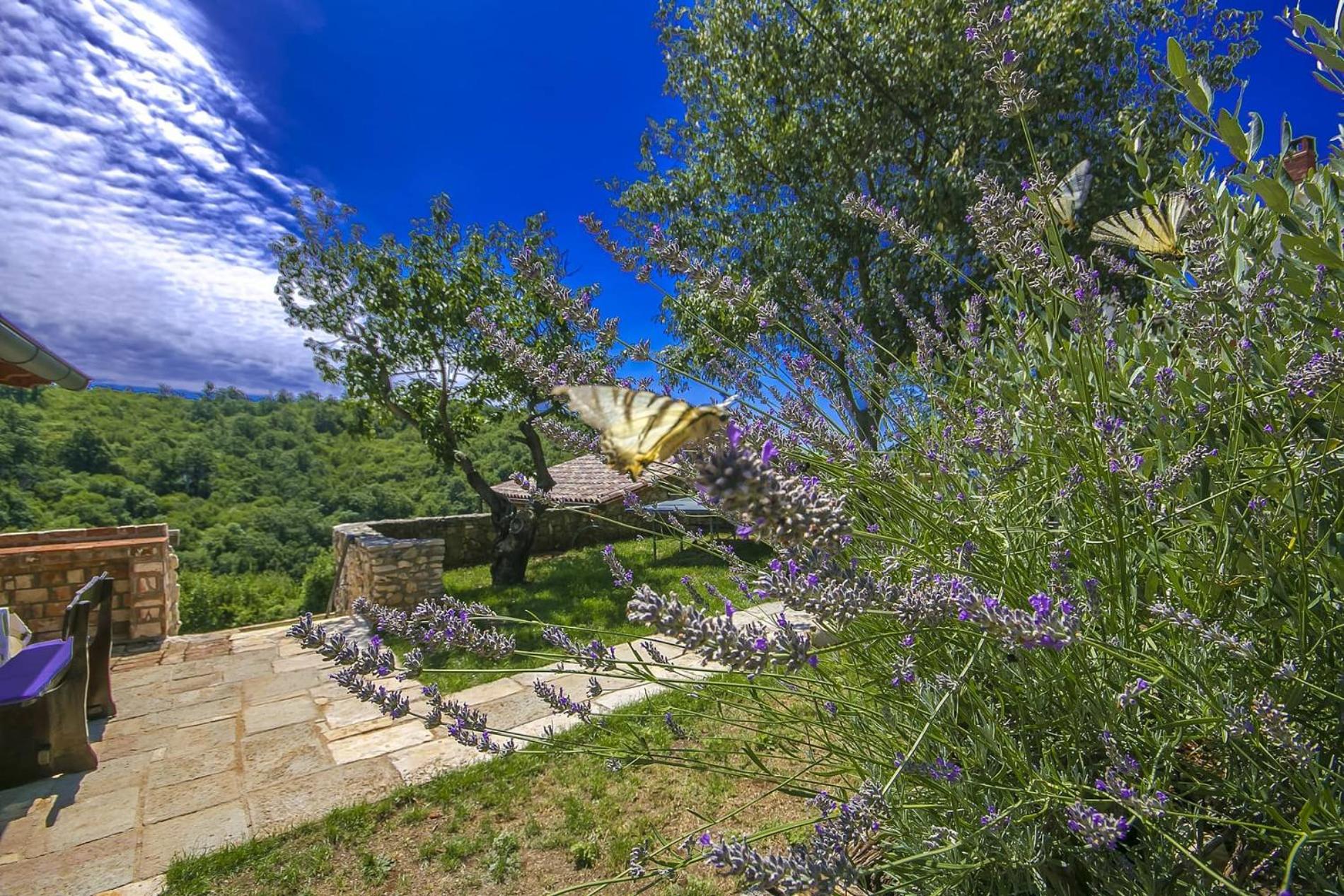 Beautiful stone Villa with private pool near Rabac by WiiBuk view 2