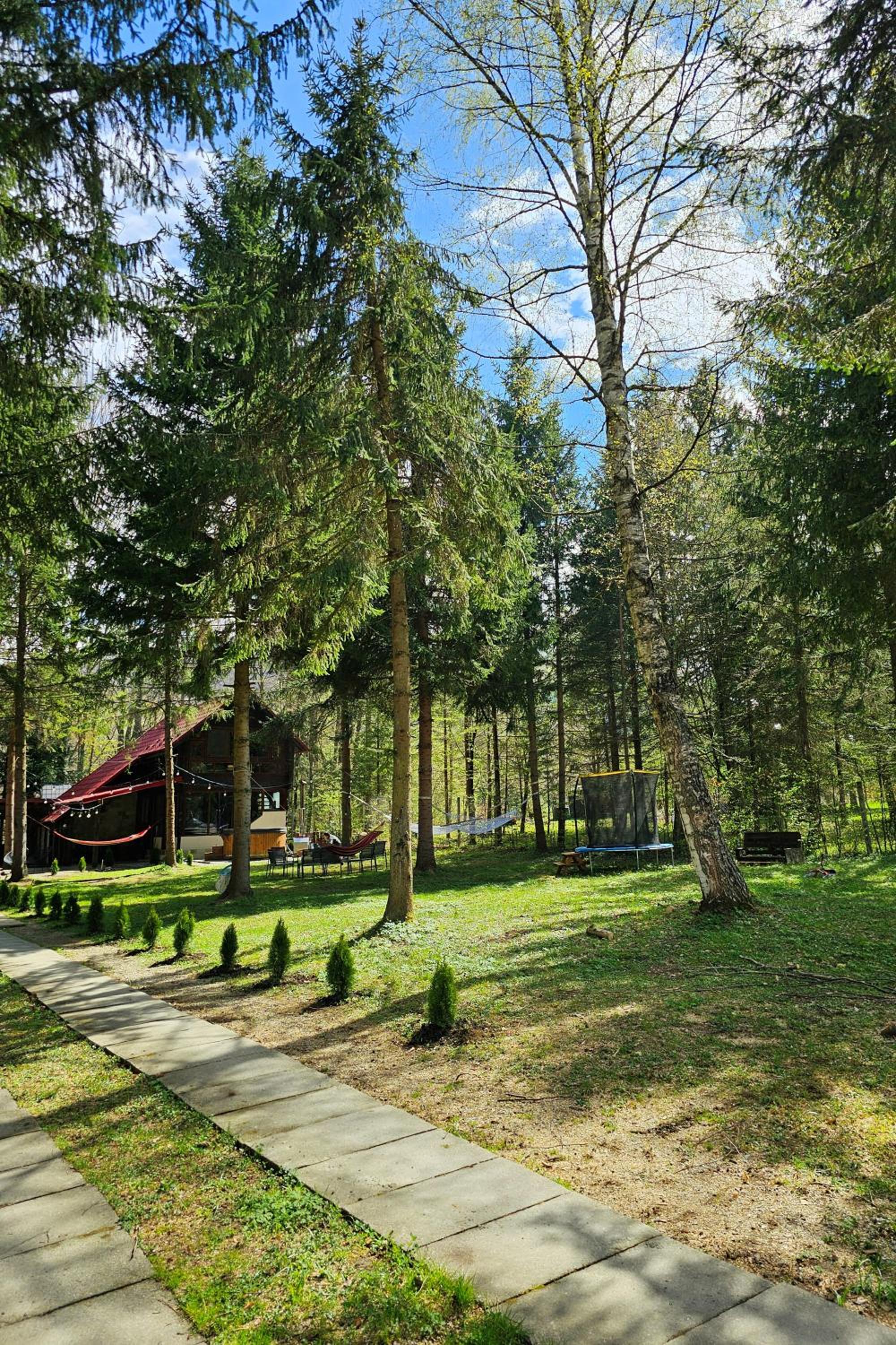 Misha's House