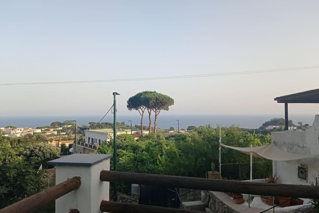 Villetta da Zio Aldo view 4