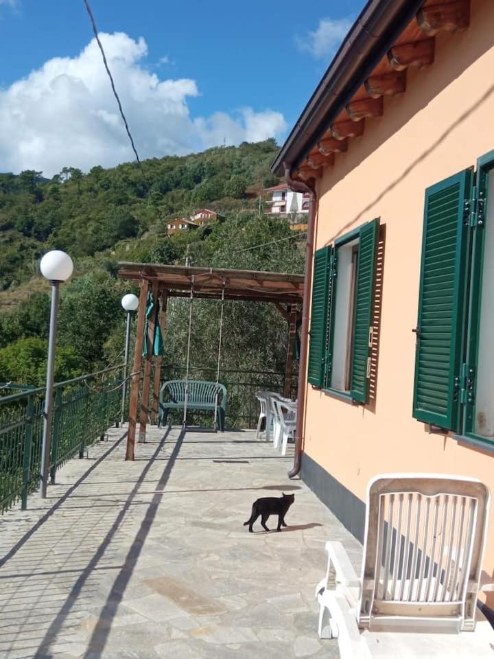 Domus Milli view 4