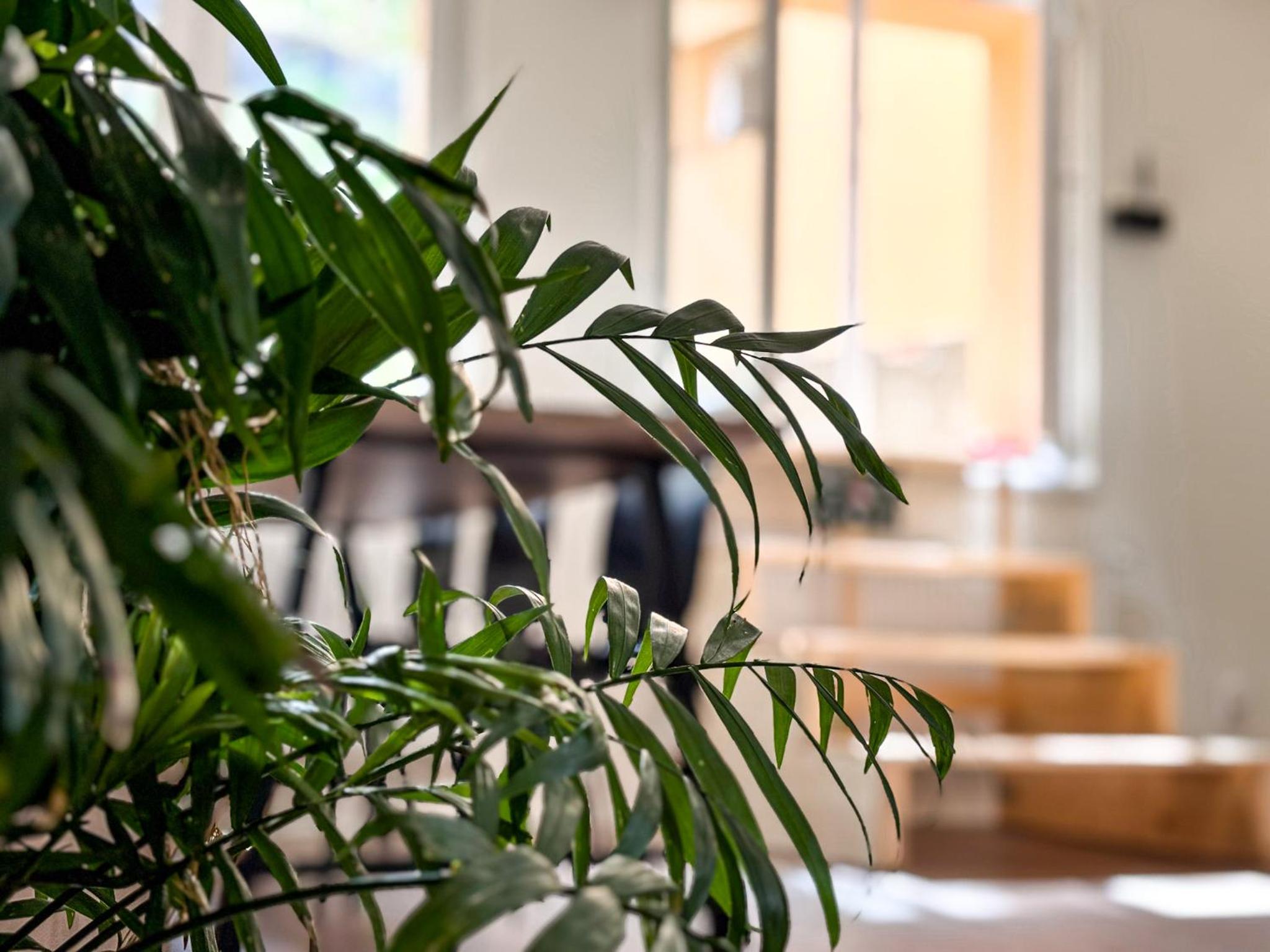 Remote Work Friendly Zahradní apartmán u jezera