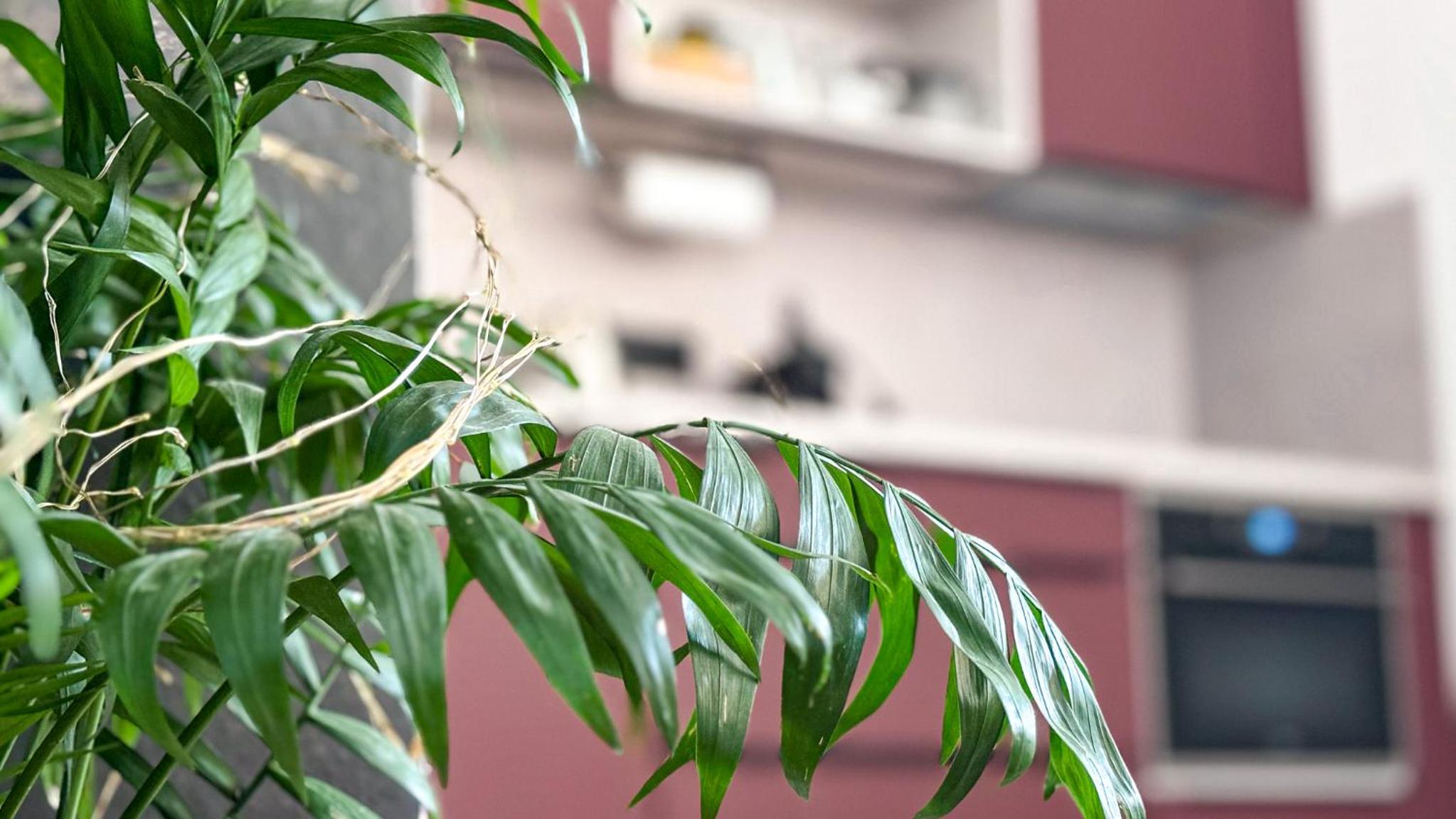 Remote Work Friendly Zahradní apartmán u jezera